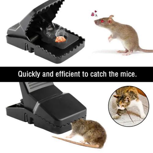 Smart Reusable Rat Catcher for Home & Kitchen